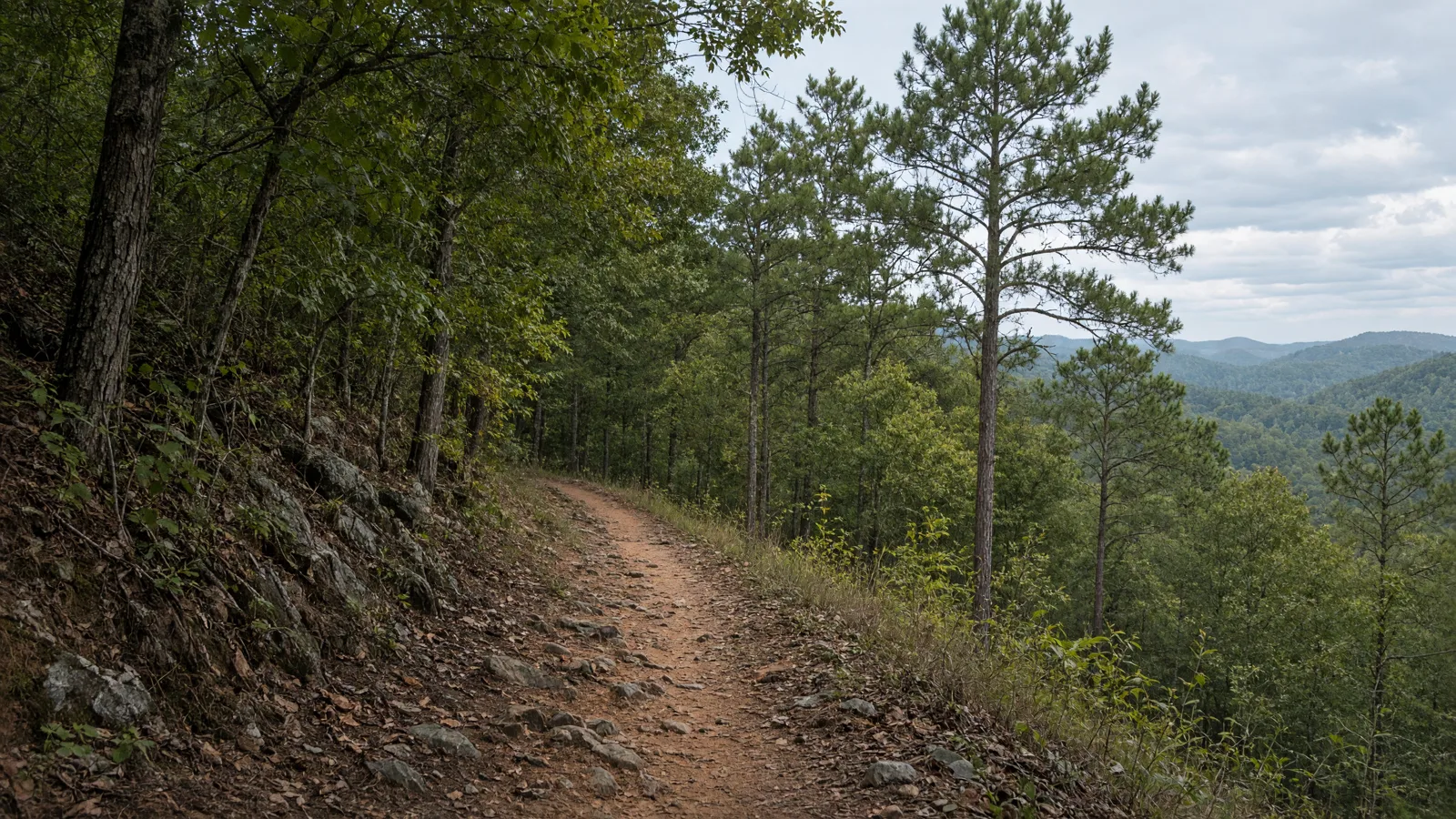 Empty outdoor trail landscape in Greene County, Georgia