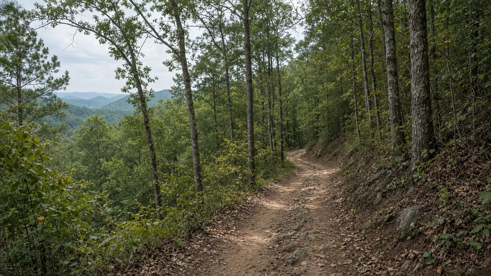 Empty outdoor trail landscape in Gwinnett County, Georgia