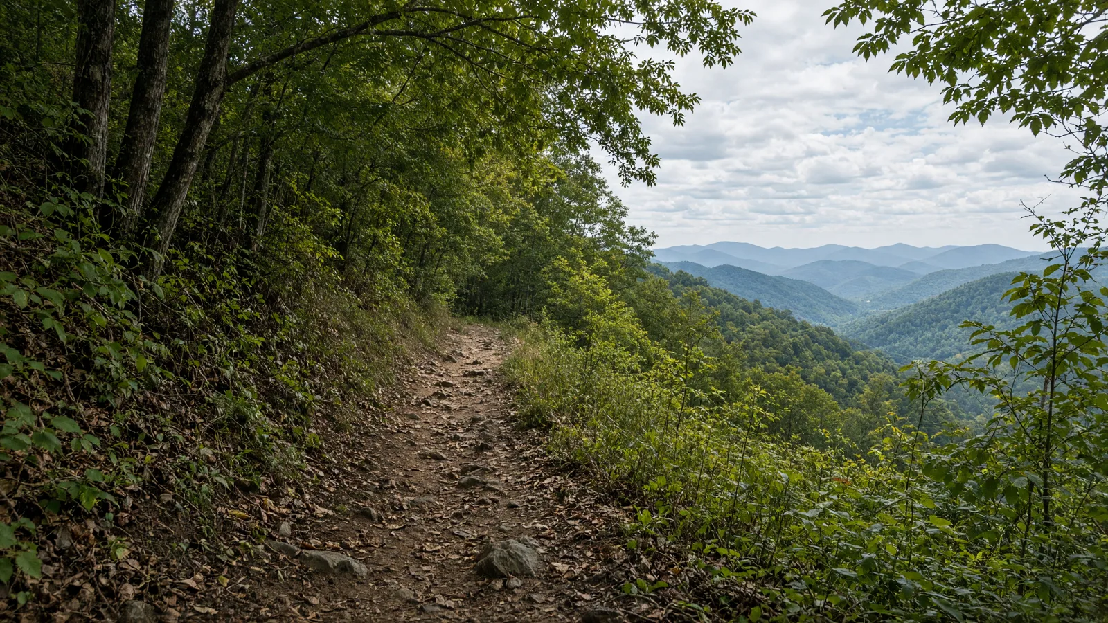 Empty outdoor trail landscape in Habersham County, Georgia