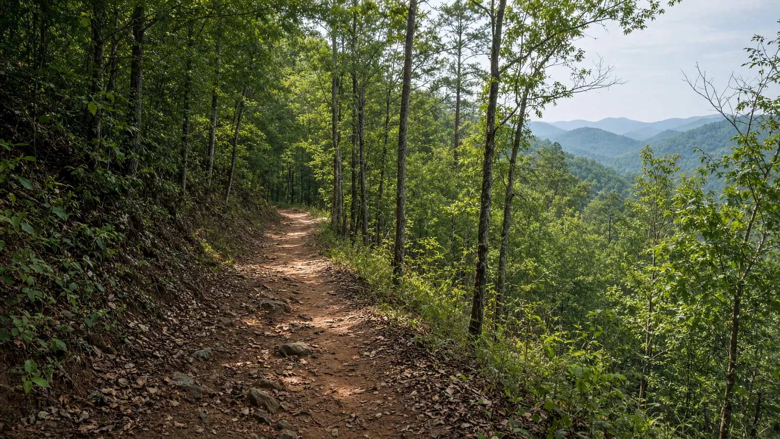 Empty outdoor trail landscape in Harris County, Georgia