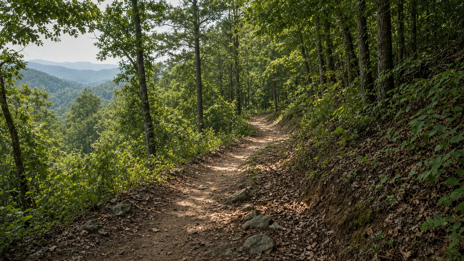 Empty outdoor trail landscape in Hart County, Georgia