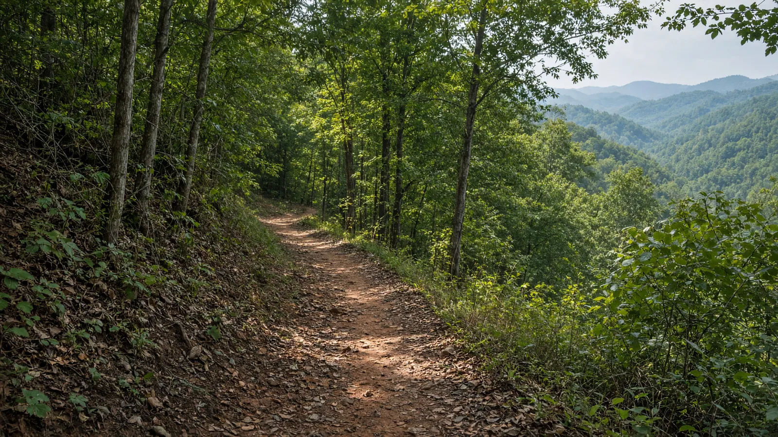 Empty outdoor trail landscape in Henry County, Georgia