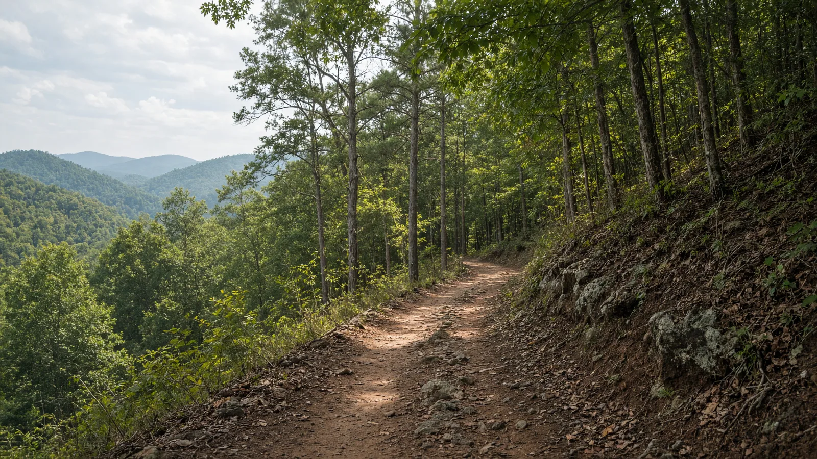 Empty outdoor trail landscape in Houston County, Georgia
