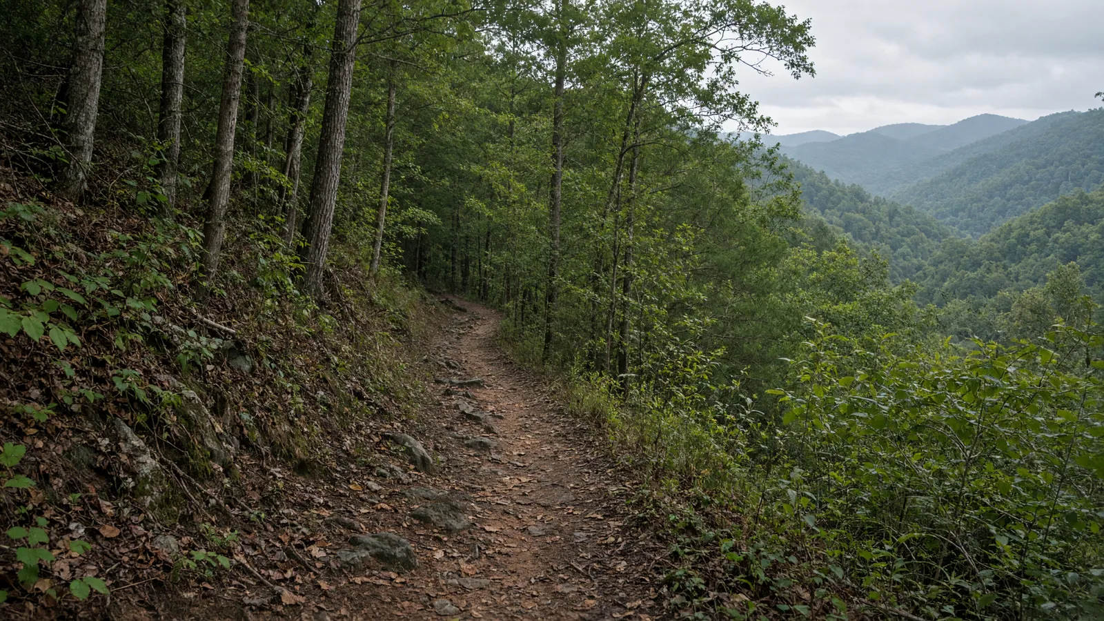 Empty outdoor trail landscape in Lumpkin County, Georgia