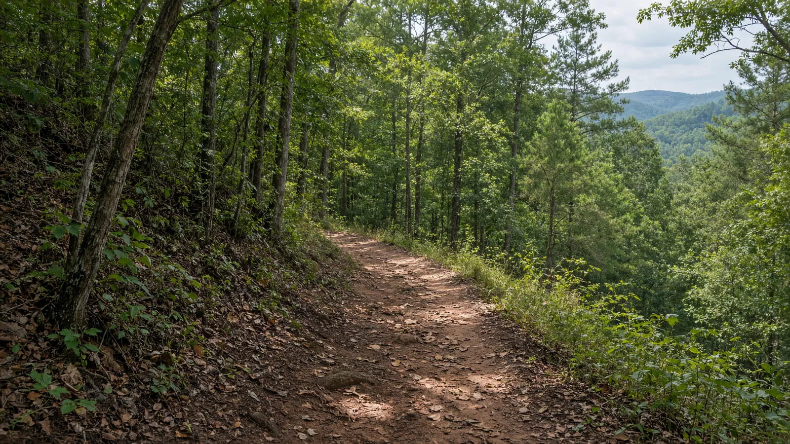 Empty outdoor trail landscape in Monroe County, Georgia