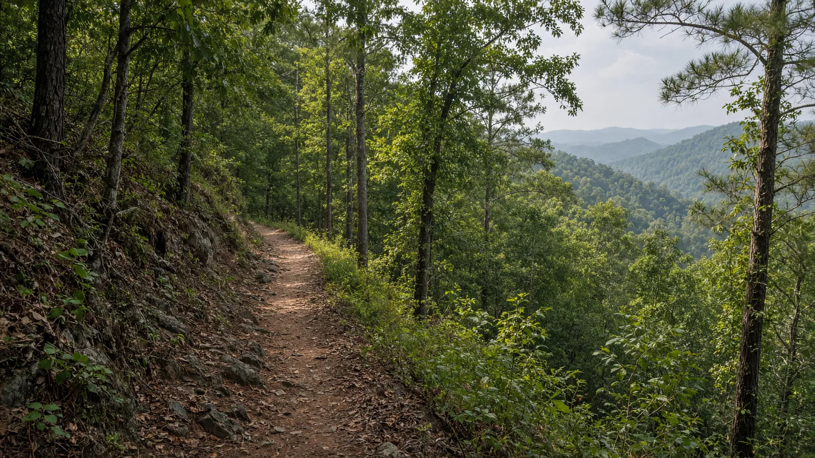Empty outdoor trail landscape in Muscogee County, Georgia