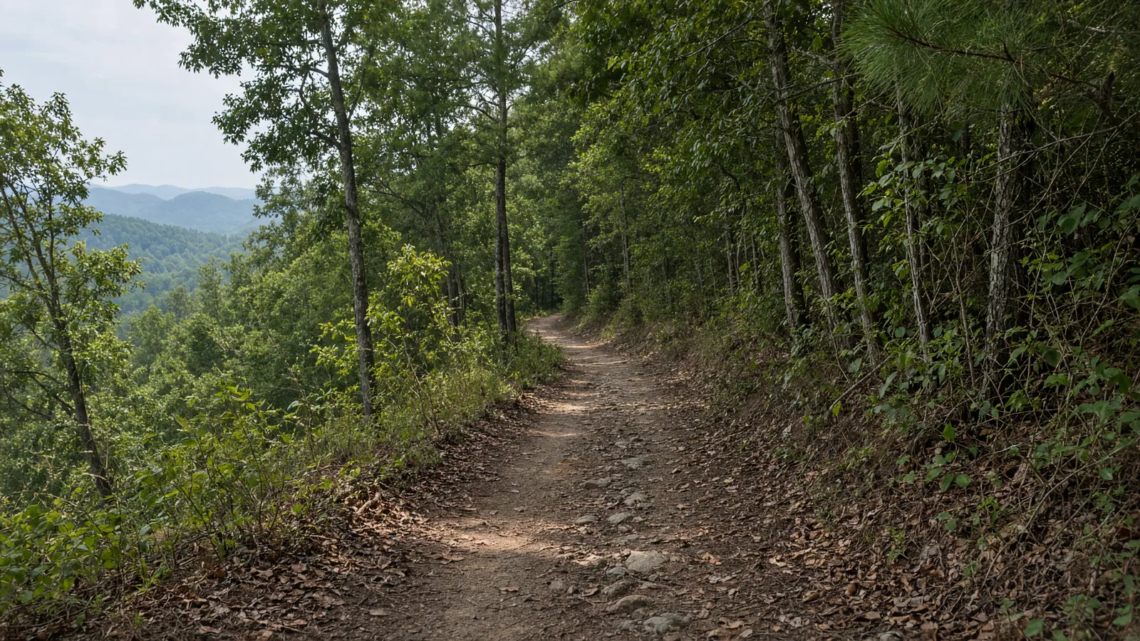 Empty outdoor trail landscape in Newton County, Georgia