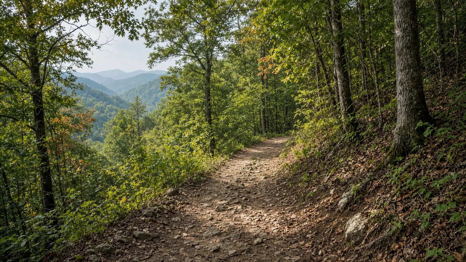Empty outdoor trail landscape in Oconee County, Georgia