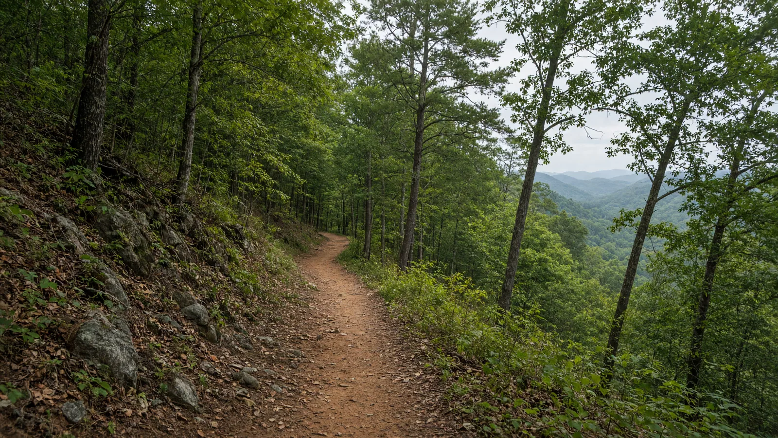 Empty outdoor trail landscape in Paulding County, Georgia