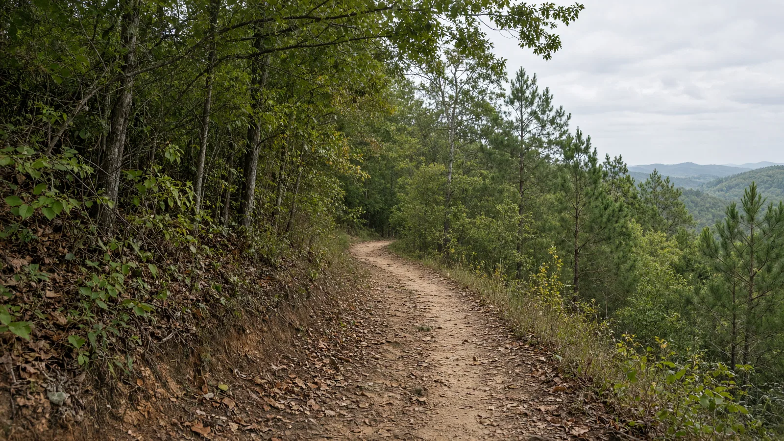 Empty outdoor trail landscape in Pierce County, Georgia