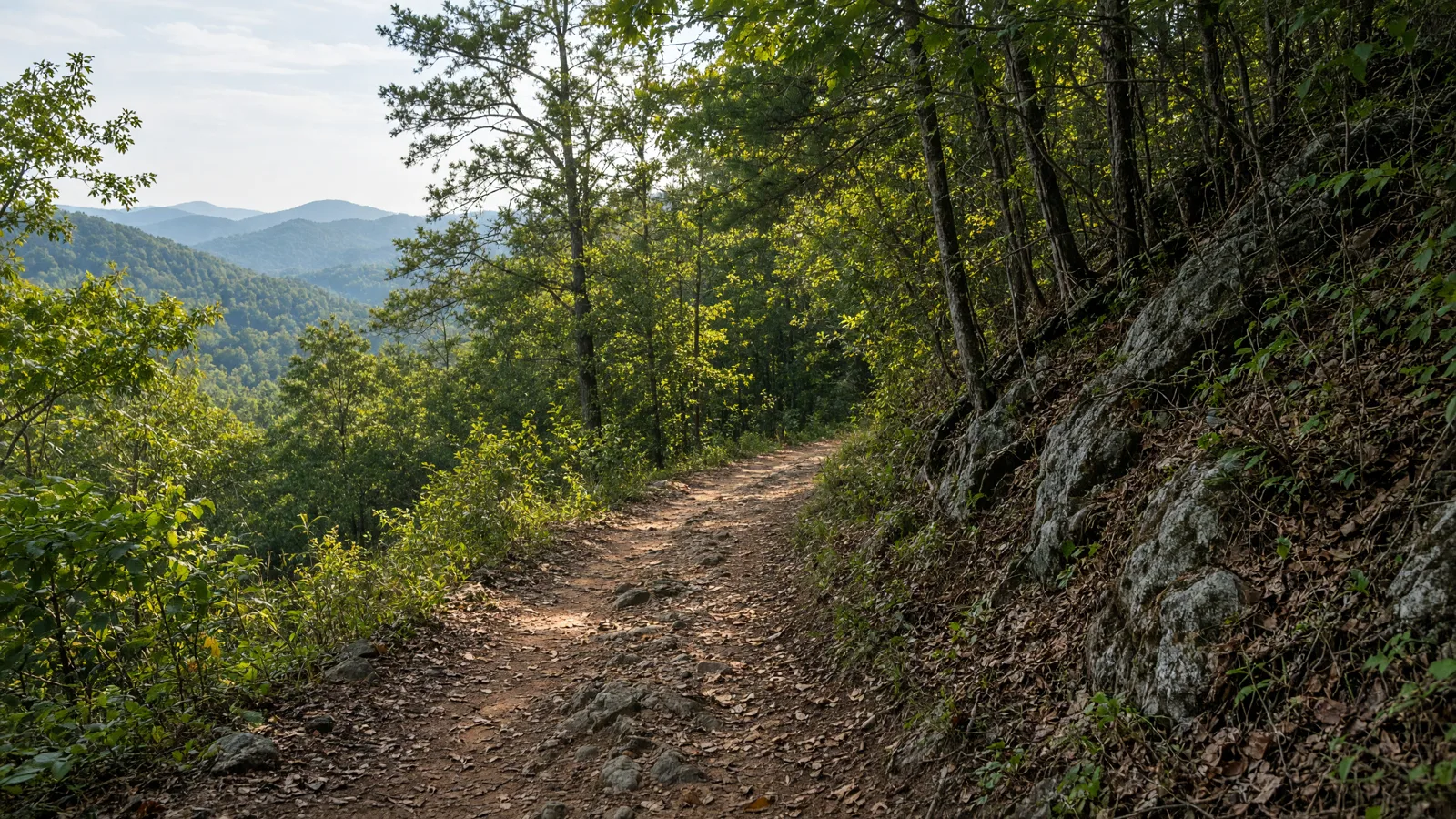 Empty outdoor trail landscape in Polk County, Georgia
