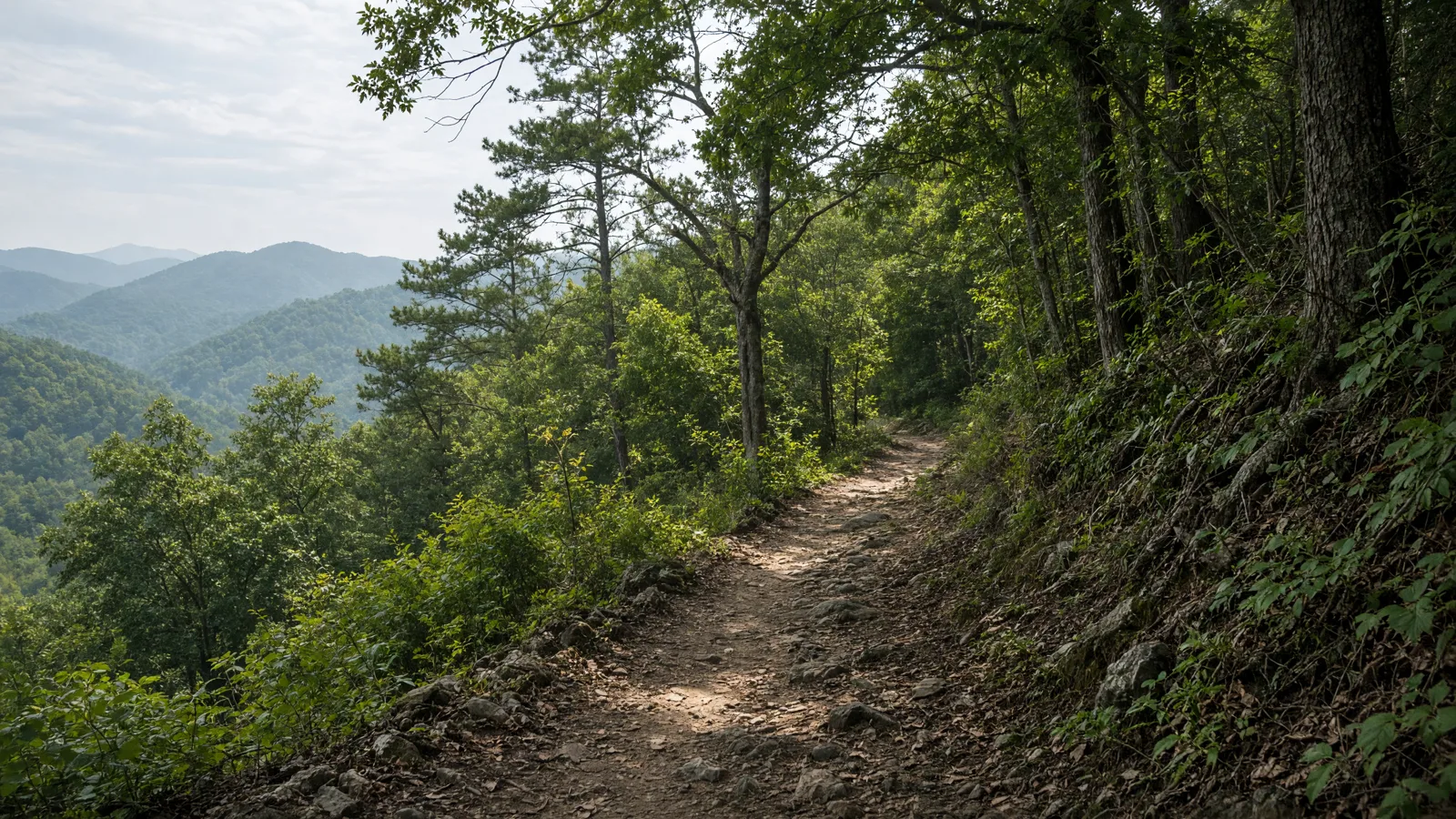 Empty outdoor trail landscape in Rabun County, Georgia