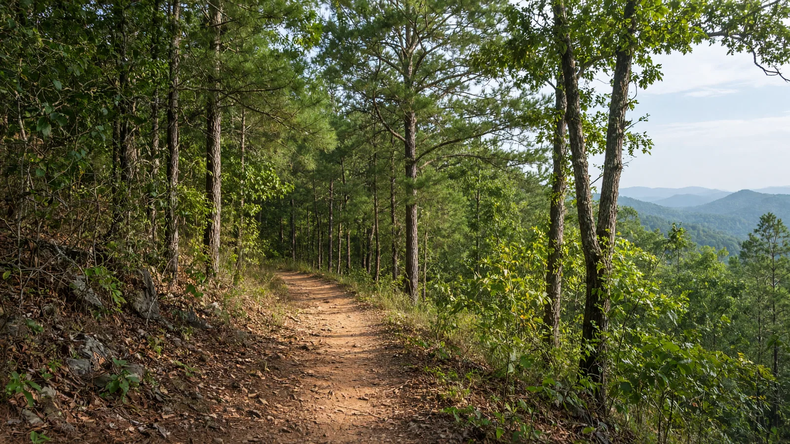 Empty outdoor trail landscape in Richmond County, Georgia