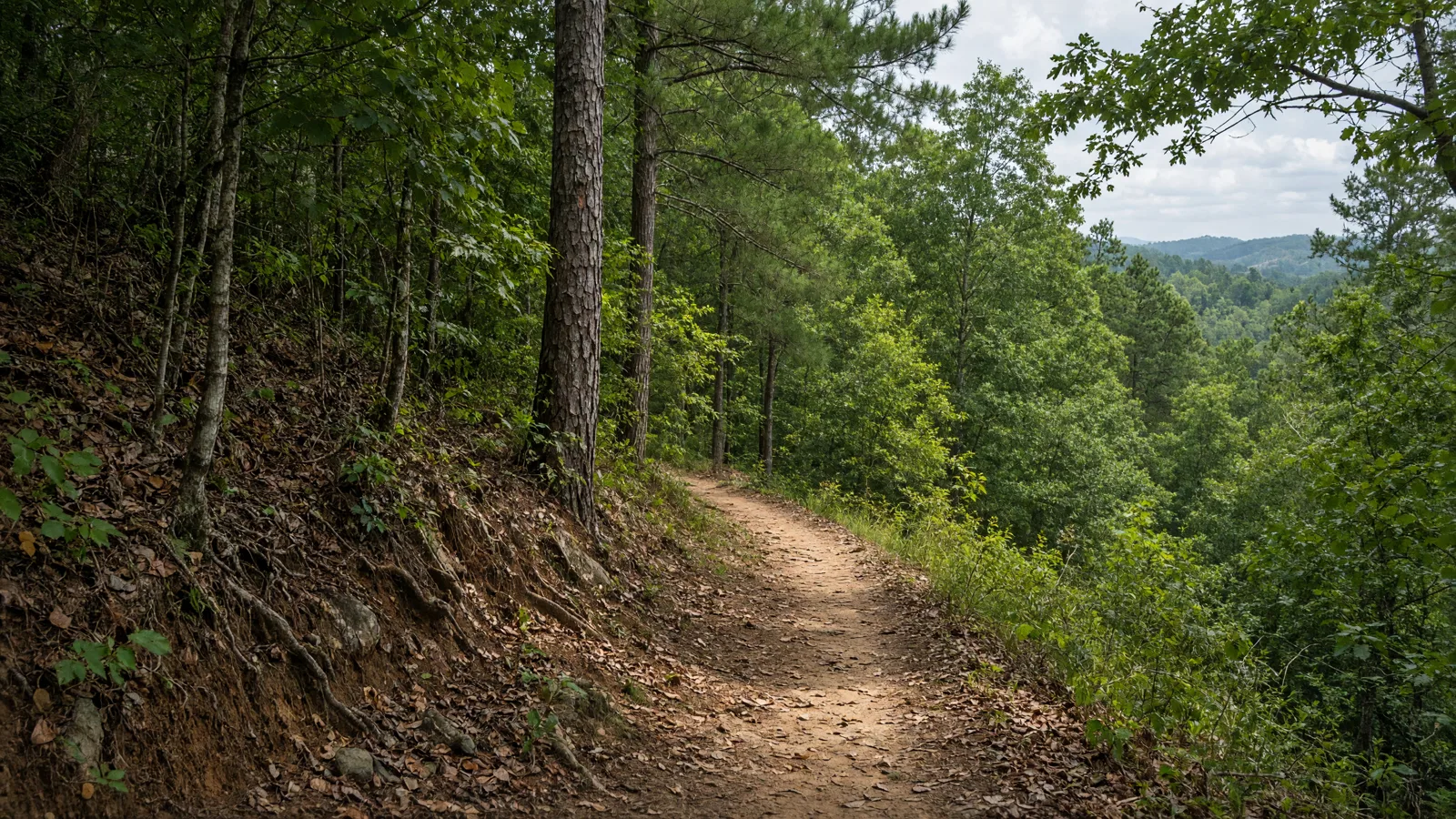 Empty outdoor trail landscape in Thomas County, Georgia