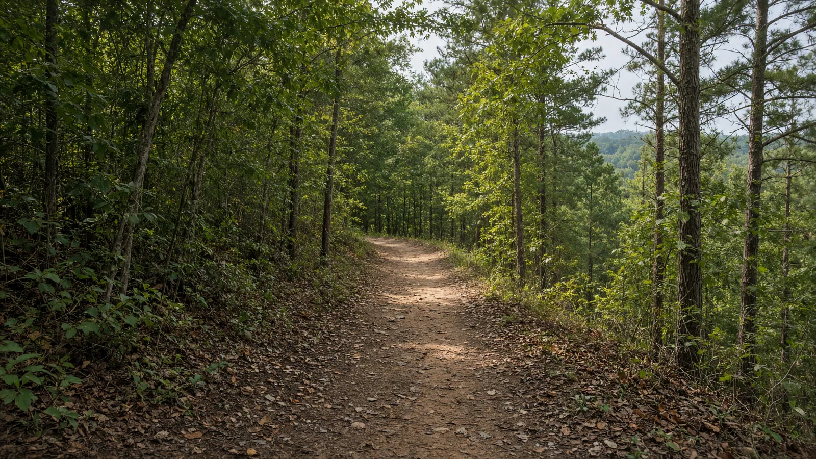 Empty outdoor trail landscape in Tift County, Georgia