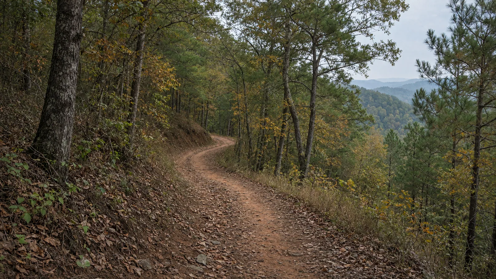 Empty outdoor trail landscape in Walton County, Georgia