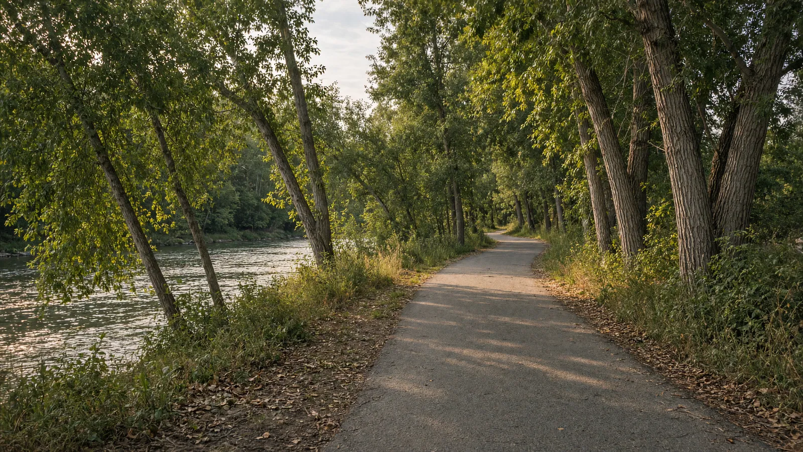 Empty Snake River Greenway path through cottonwoods near Idaho Falls, Bonneville County, Idaho