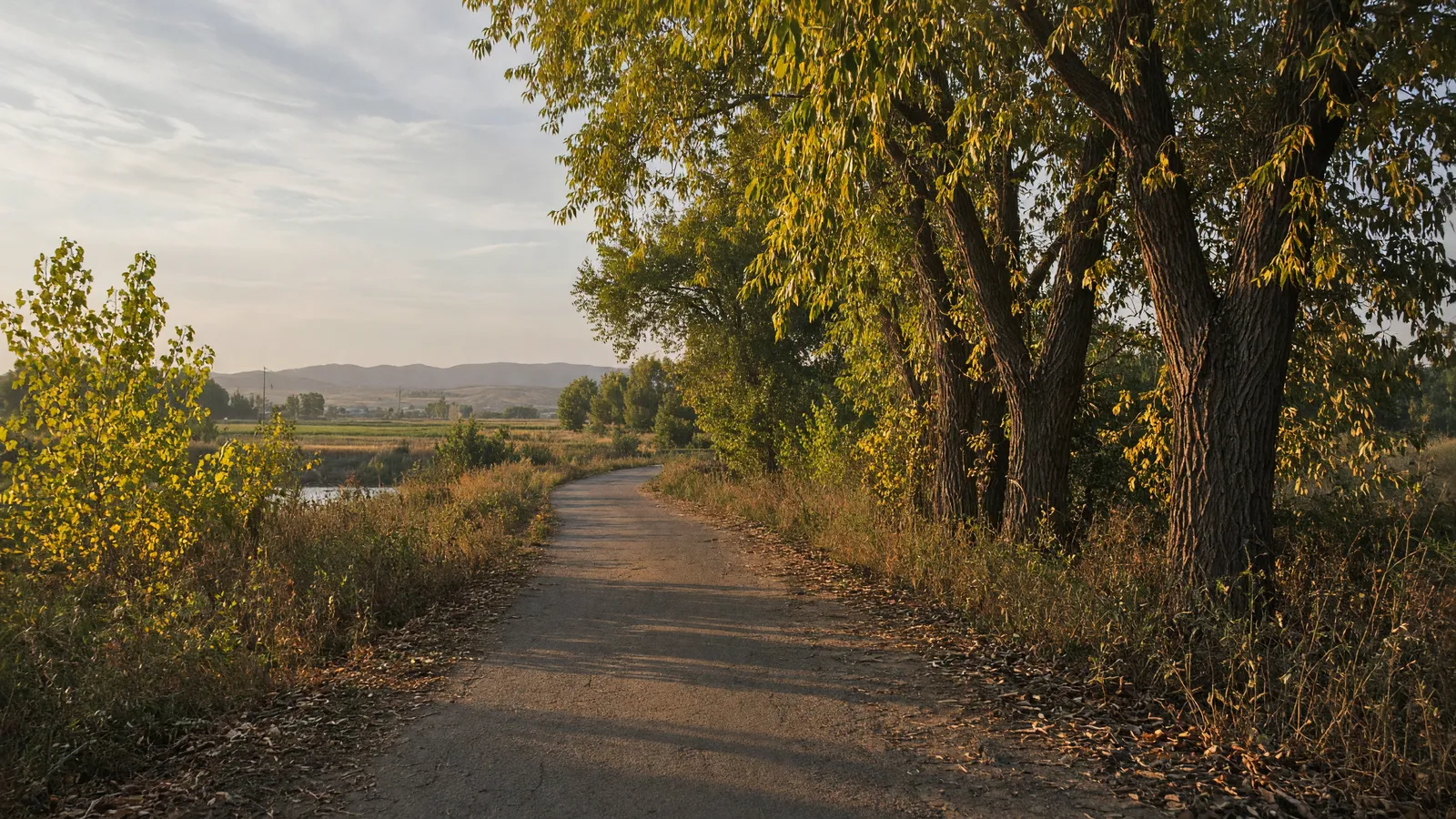 Empty Boise River greenway path through agricultural cottonwoods near Nampa, Canyon County, Idaho
