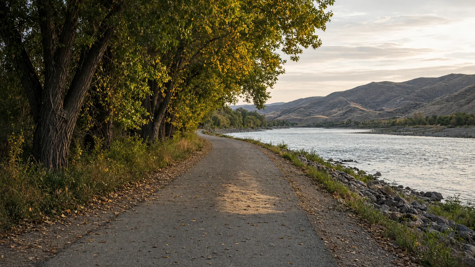 Empty Clearwater River levee path through cottonwoods near Lewiston, Nez Perce County, Idaho