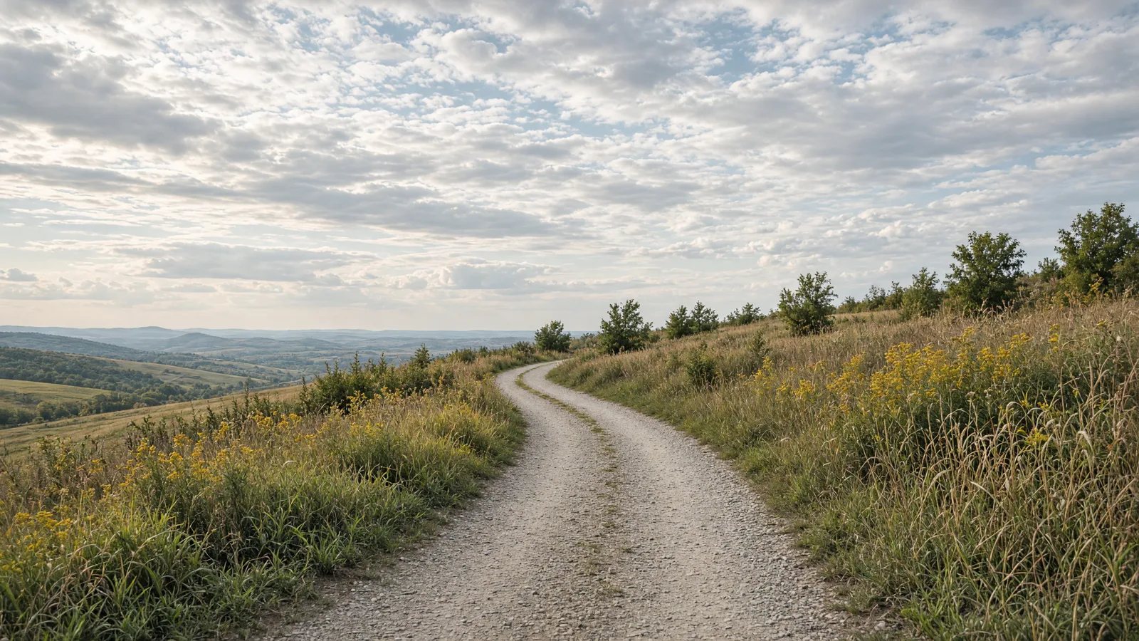 Empty outdoor trail landscape in Carroll County, Illinois