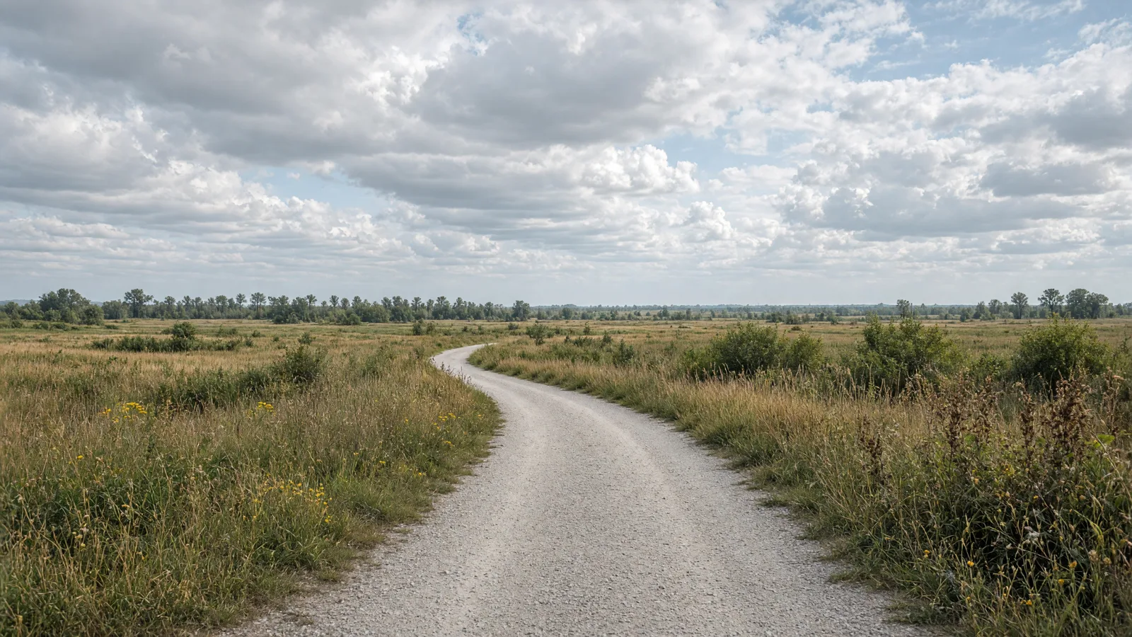 Empty outdoor trail landscape in Kankakee County, Illinois