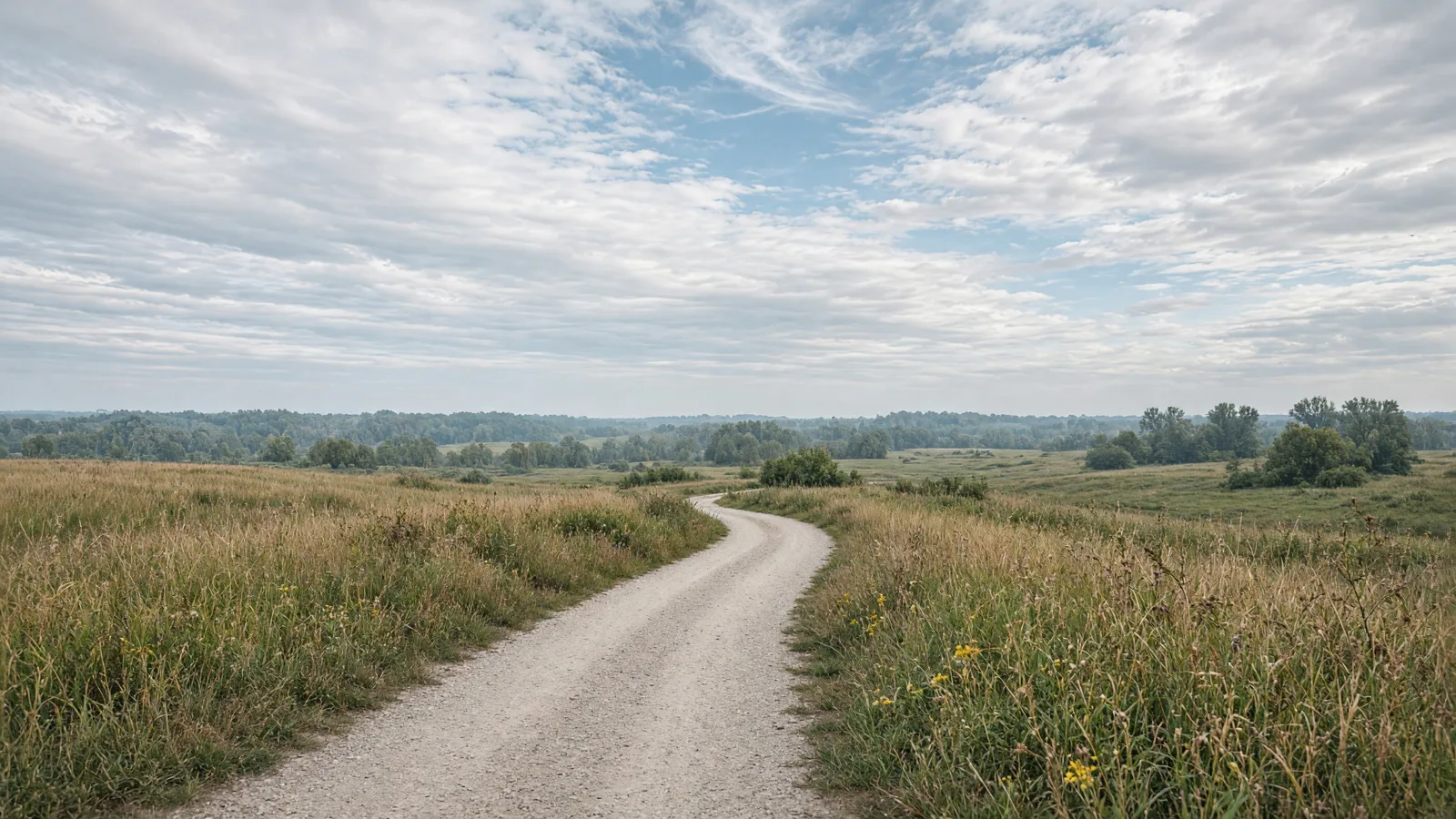 Empty outdoor trail landscape in Lake County, Illinois