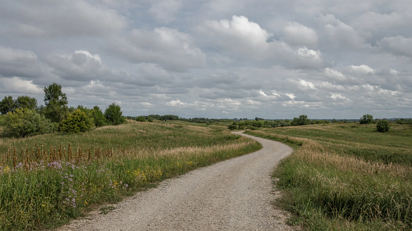 Empty outdoor trail landscape in Ogle County, Illinois