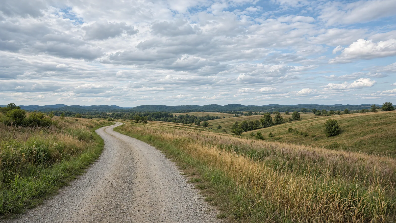 Empty outdoor trail landscape in Williamson County, Illinois