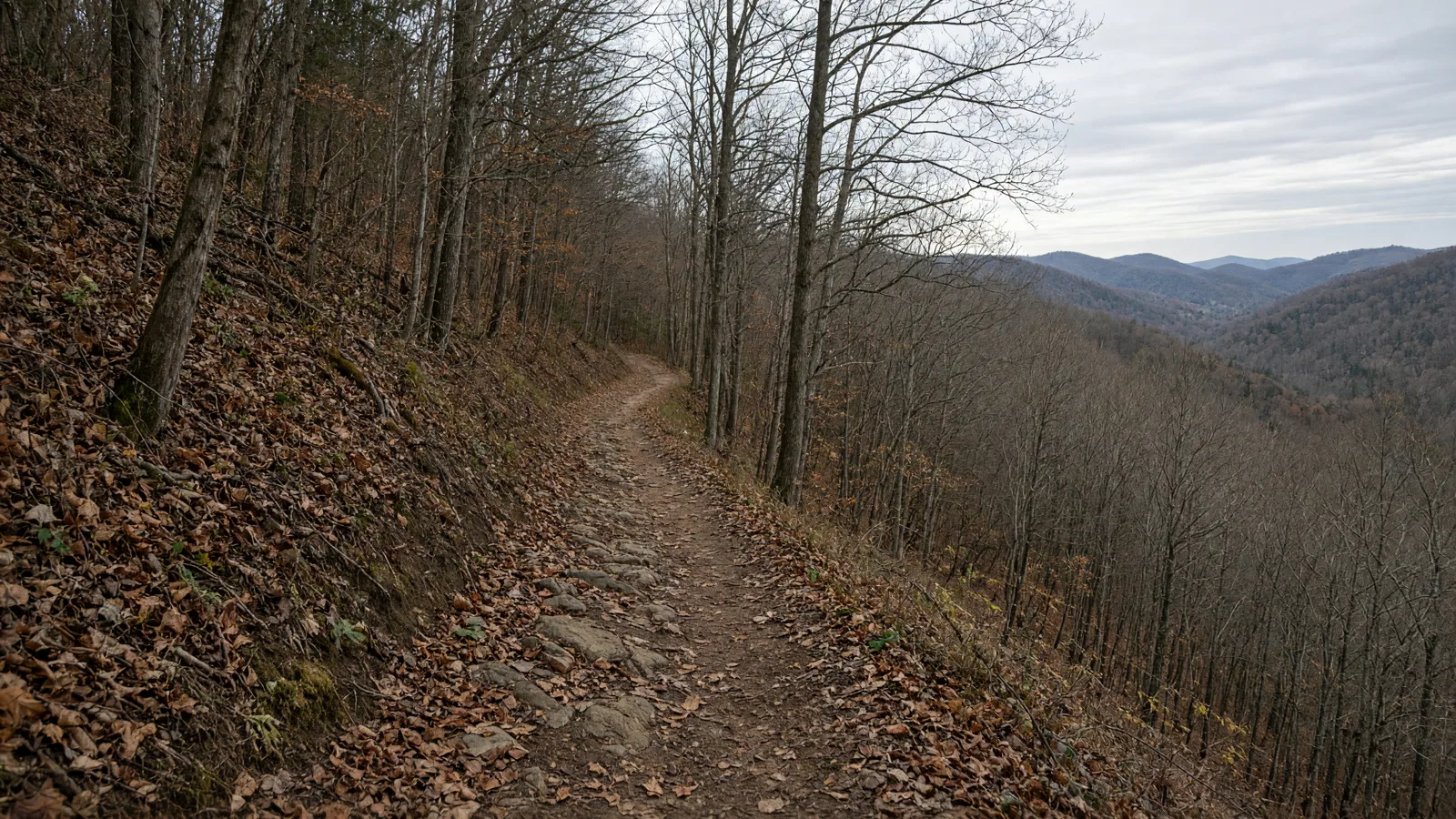 Empty outdoor trail landscape in Adams County, Indiana
