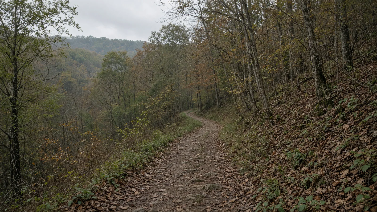 Empty outdoor trail landscape in Allen County, Indiana