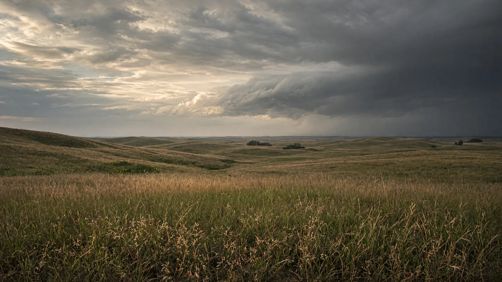 Tallgrass prairie grassland in Kansas