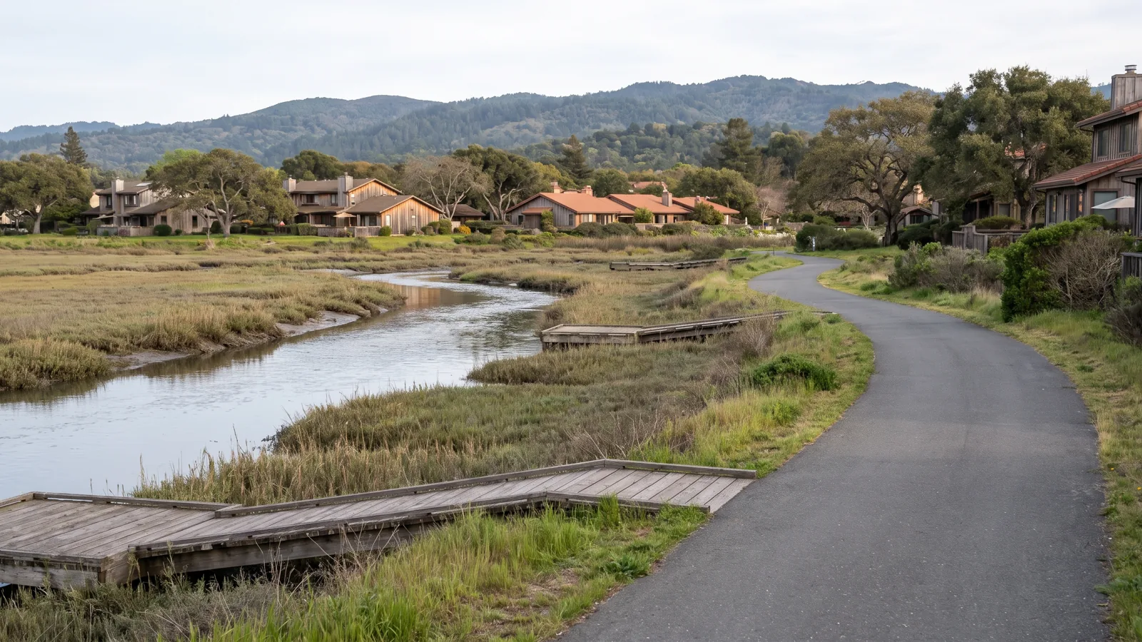 Larkspur California eBike riding area