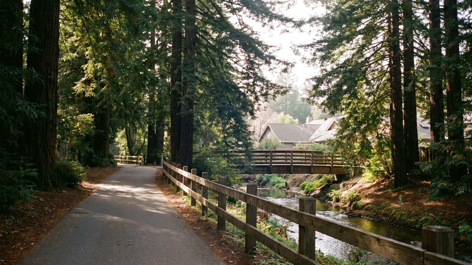 Larkspur eBike riding area