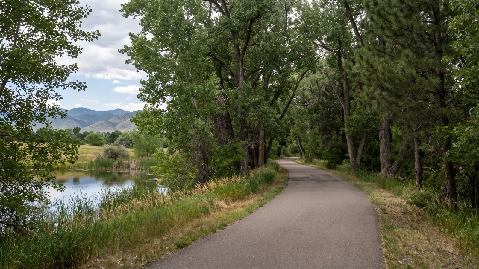 Longmont eBike riding area