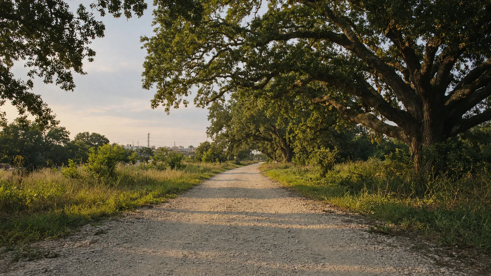 Empty Lafitte Greenway crushed-limestone path through live oaks, Orleans Parish, Louisiana