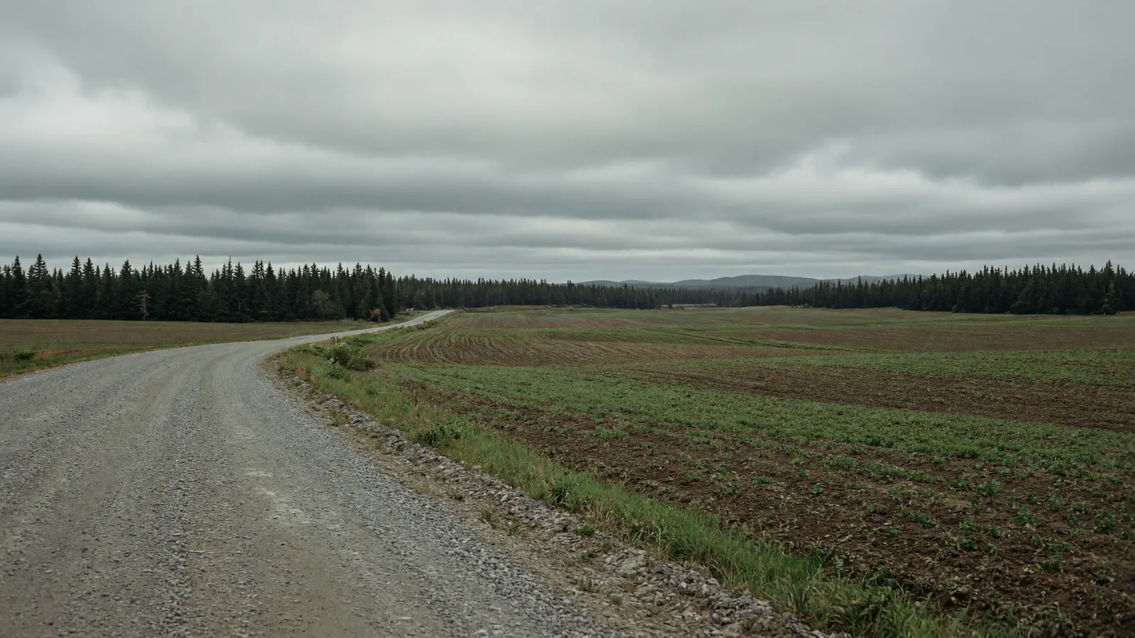 Empty potato-country farm lane near Presque Isle, Maine