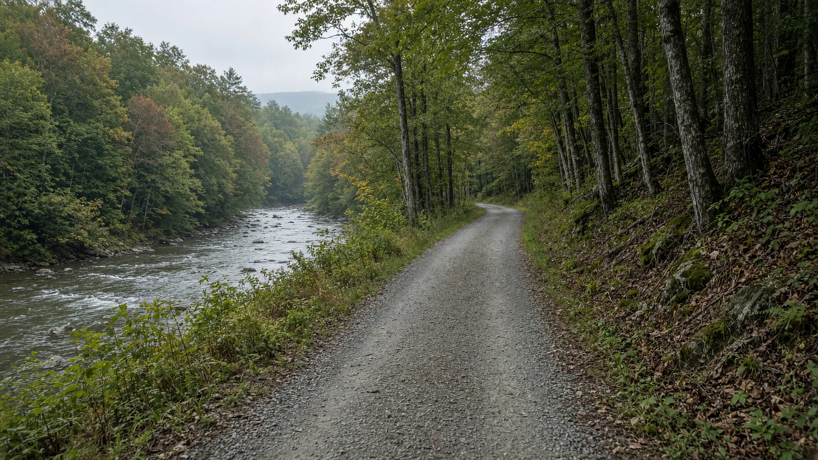 Empty Mountain Division rail-trail through western Maine hardwoods near Bethel