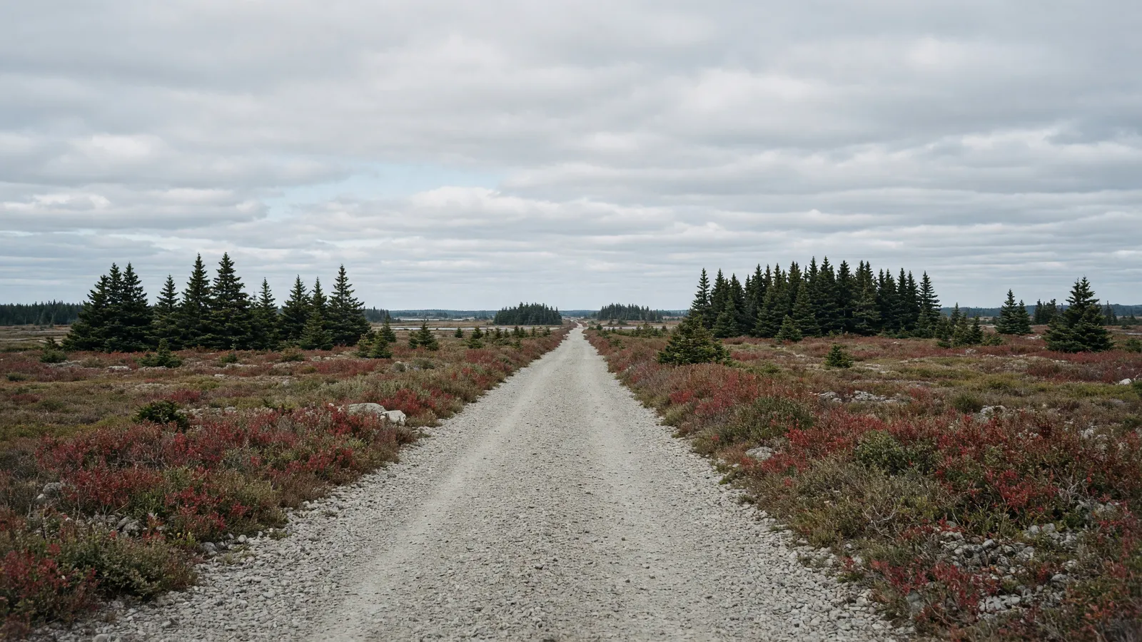 Empty Down East Sunrise Trail through blueberry barrens near Machias, Maine