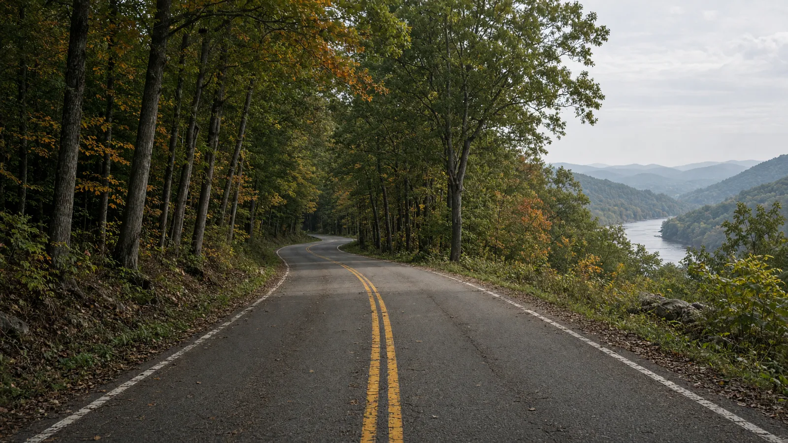 Empty Mohawk Trail two-lane through hardwoods toward a Connecticut River valley overlook, Franklin County, Massachusetts