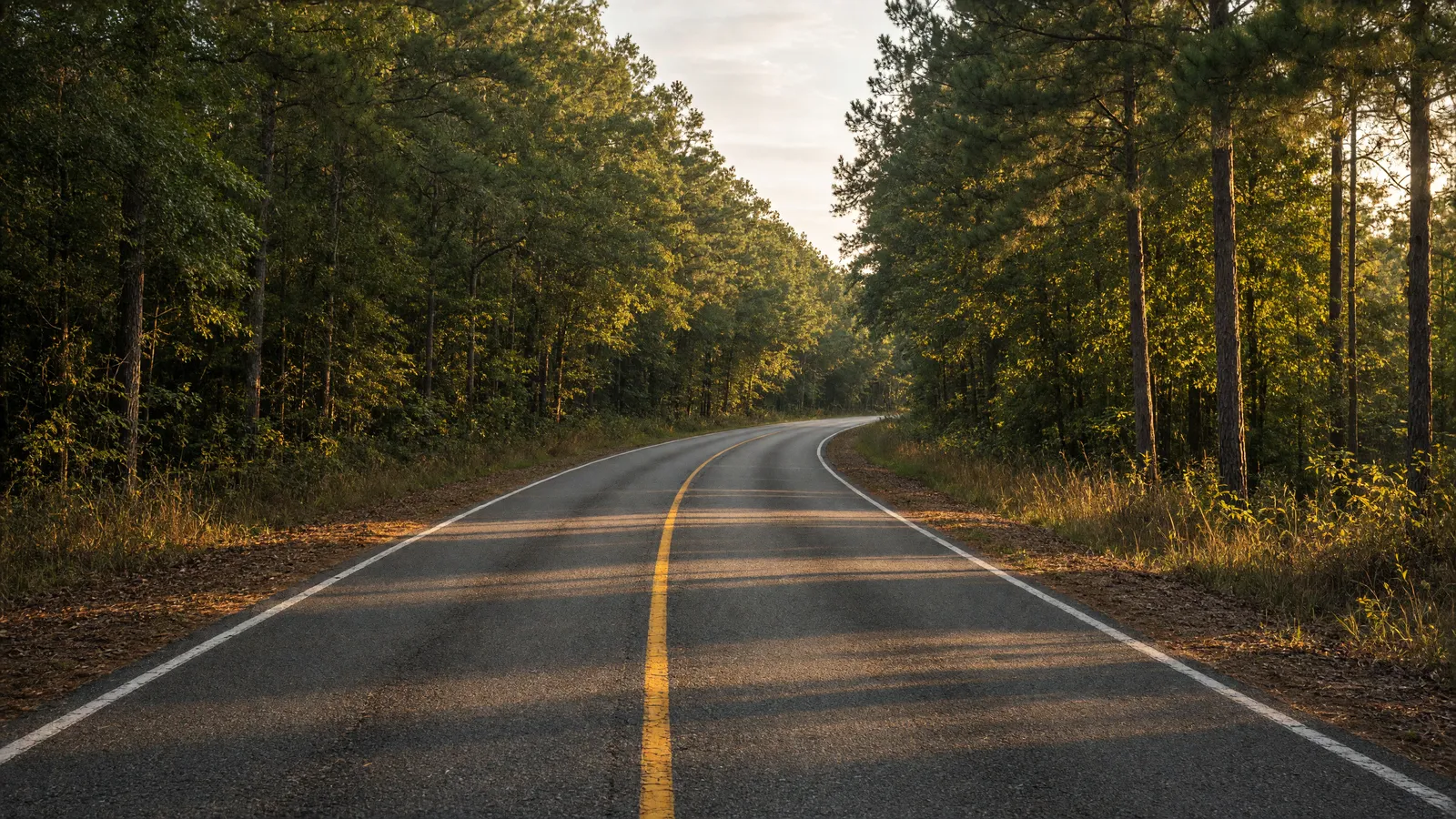 Empty Natchez Trace Parkway two-lane through oak and pine near Oxford, Lafayette County, Mississippi