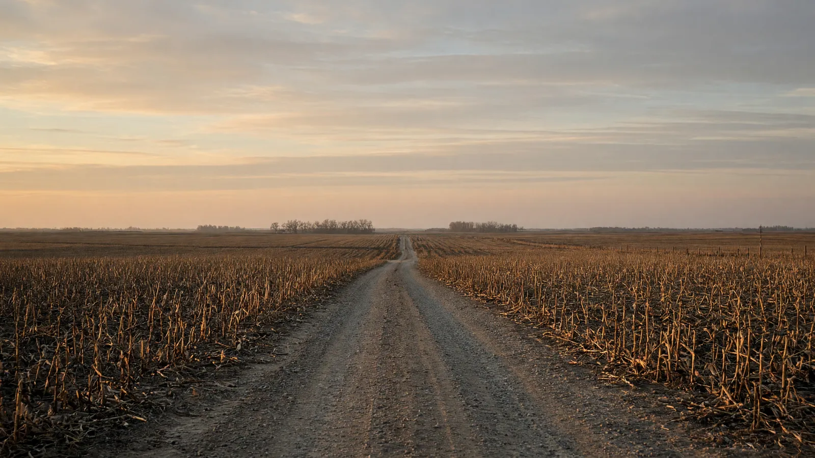 Empty south-central Nebraska packed farm road through corn stubble, Clay County, Nebraska