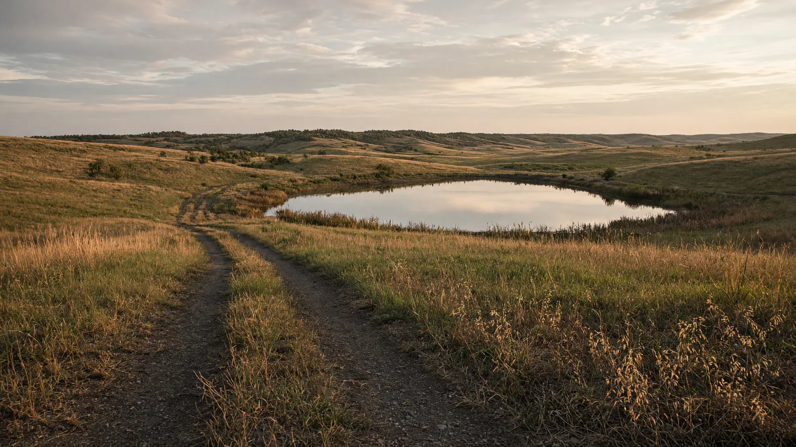 Empty Niobrara country mixed-grass packed two-track toward a ranch pond, Holt County, Nebraska