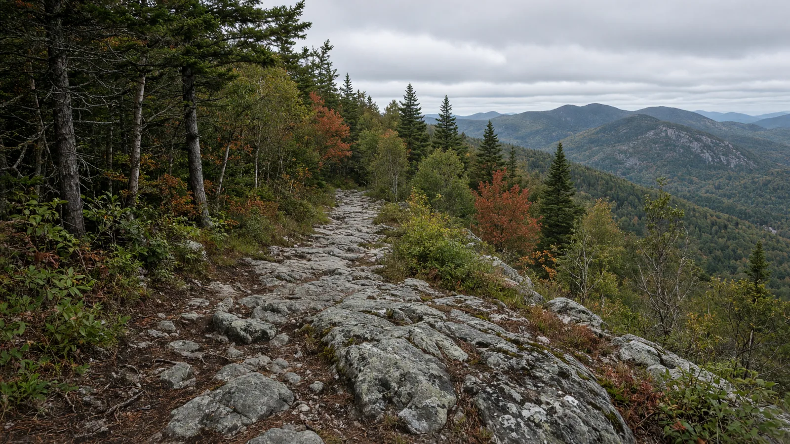 Empty outdoor trail landscape in Belknap County, New Hampshire