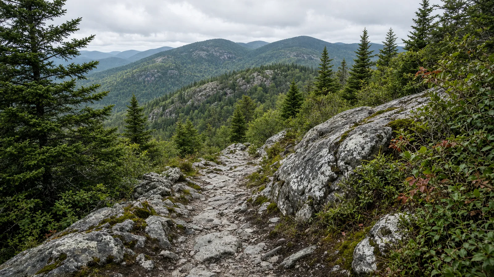 Empty outdoor trail landscape in Hillsborough County, New Hampshire