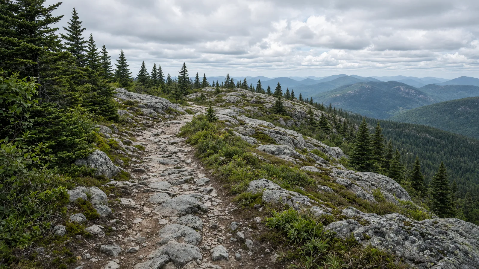 Empty outdoor trail landscape in Merrimack County, New Hampshire