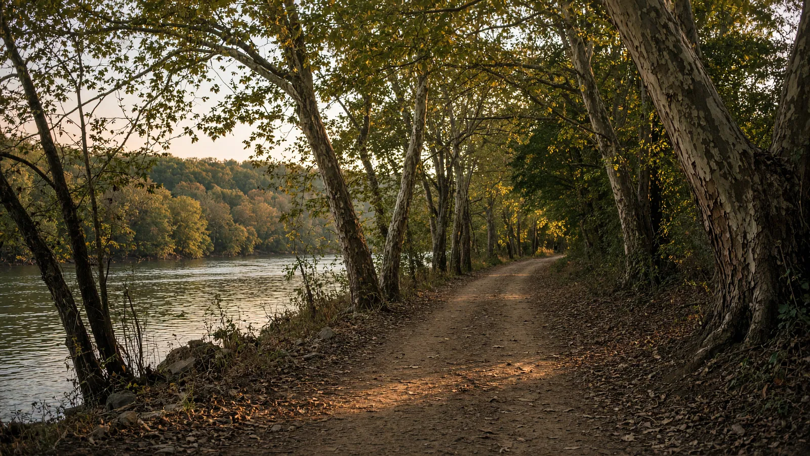 Empty Delaware River towpath through sycamores near Lambertville, Hunterdon County, New Jersey