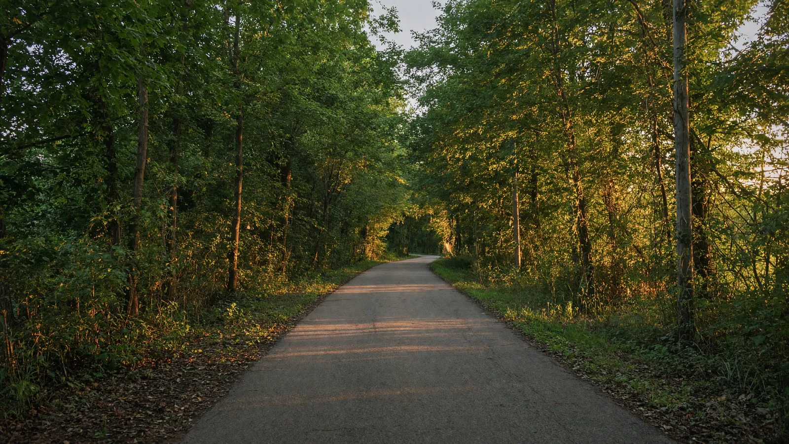 Empty Middlesex Greenway paved rail-trail through trees near Edison, Middlesex County, New Jersey