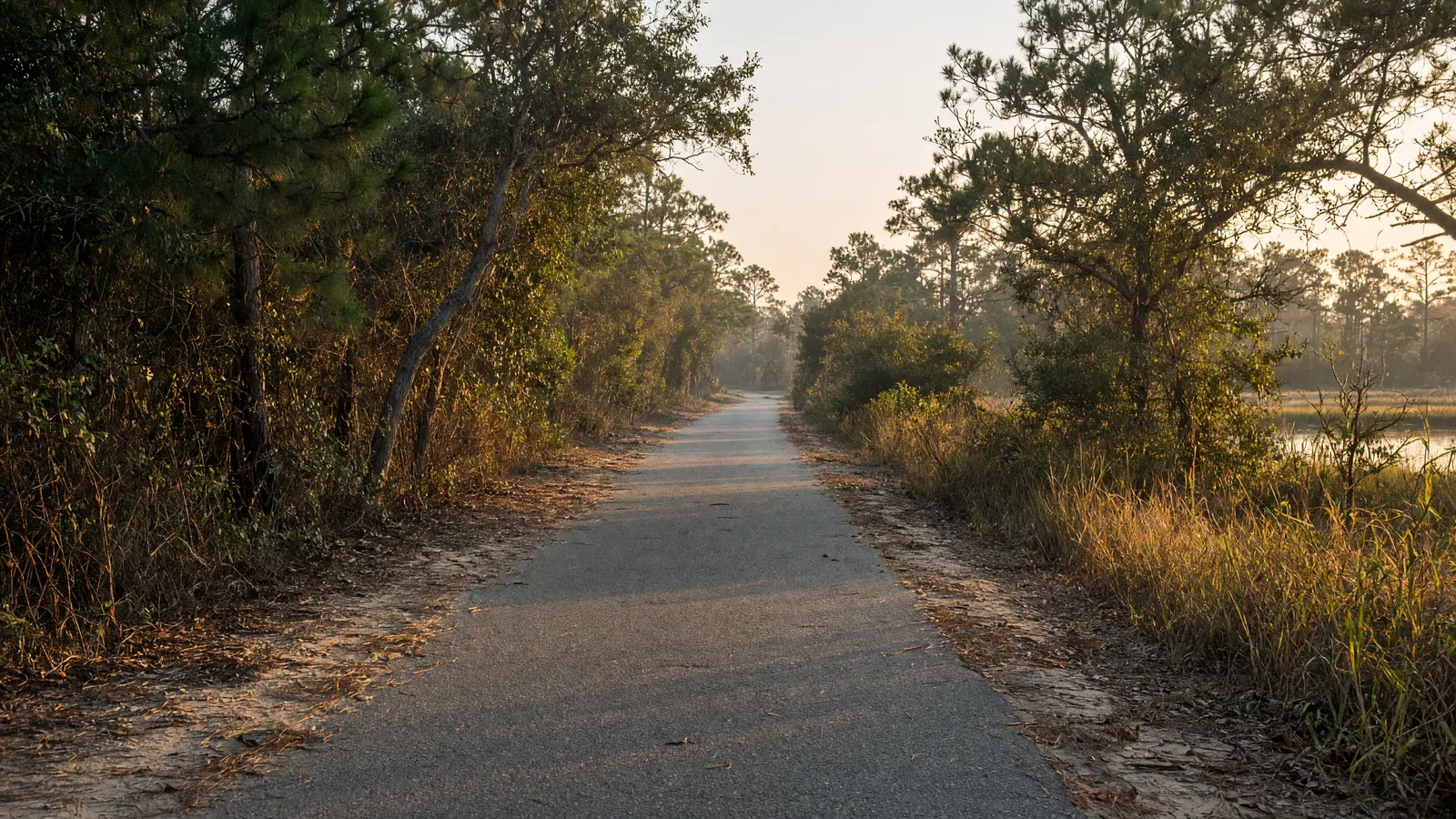 Empty Henry Hudson Trail paved rail-trail through coastal woods, Monmouth County, New Jersey
