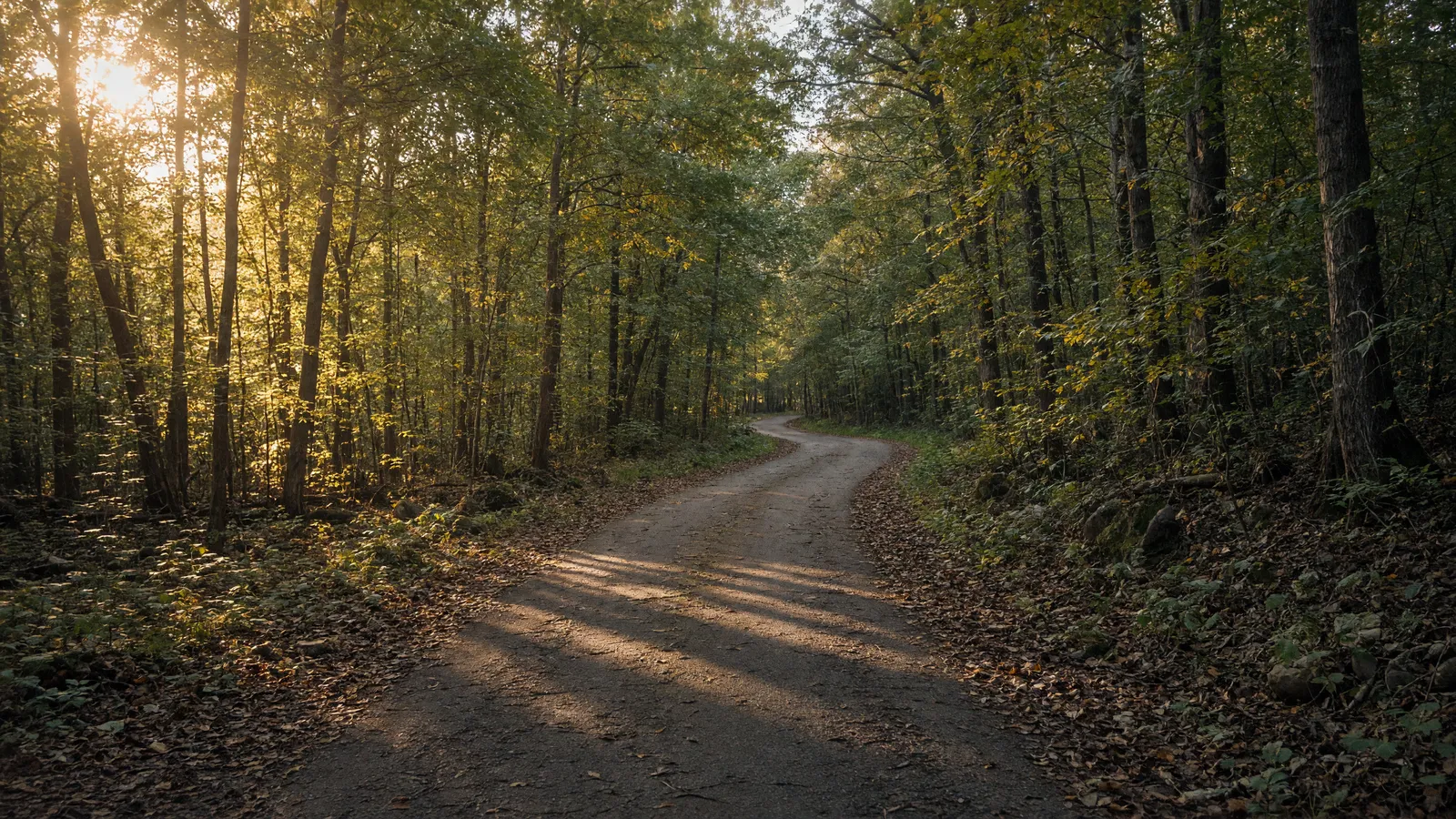 Empty Watchung Reservation paved path through mixed forest, Union County, New Jersey