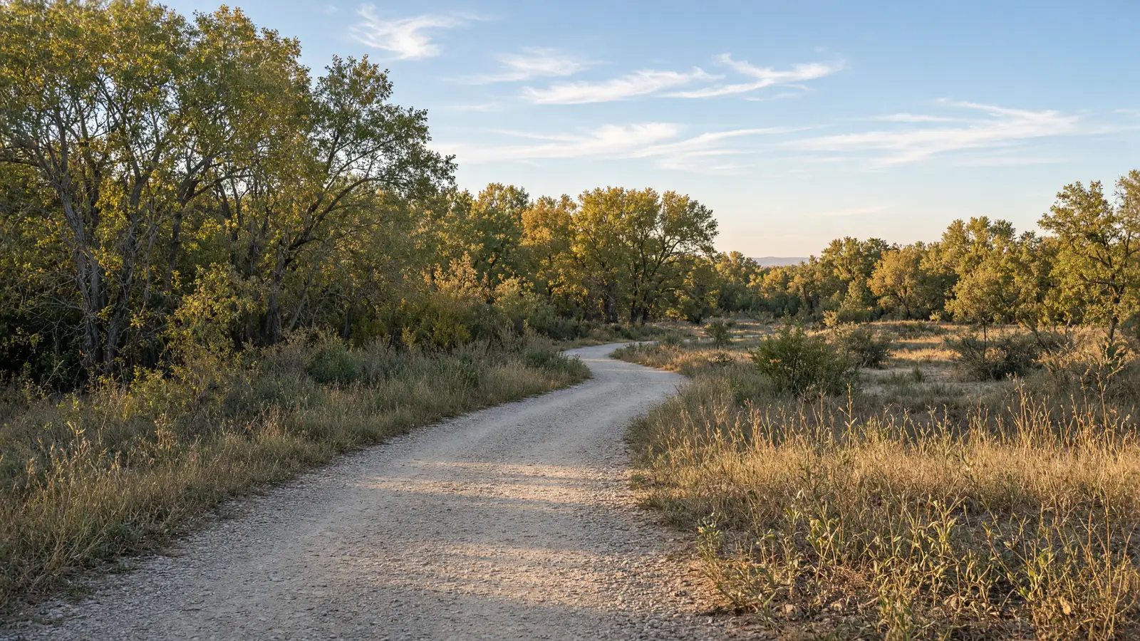 Empty Paseo del Bosque Trail through Rio Grande cottonwood bosque in Albuquerque, Bernalillo County, New Mexico